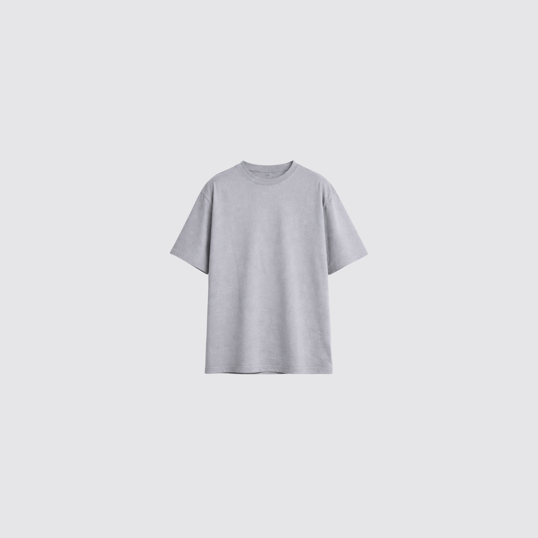 Ash Grey T-Shirt